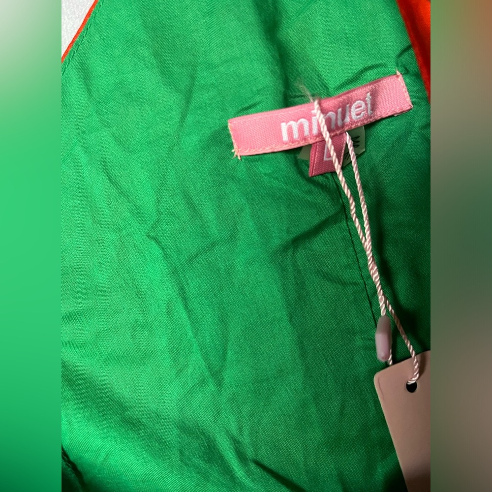 Floral V-Neck Dress - Red, Green, Pink - Picture 4 of 10
